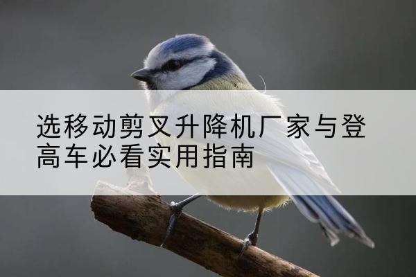 三亚电动升降机厂家-选移动剪叉升降机厂家与登高车必看实用指南