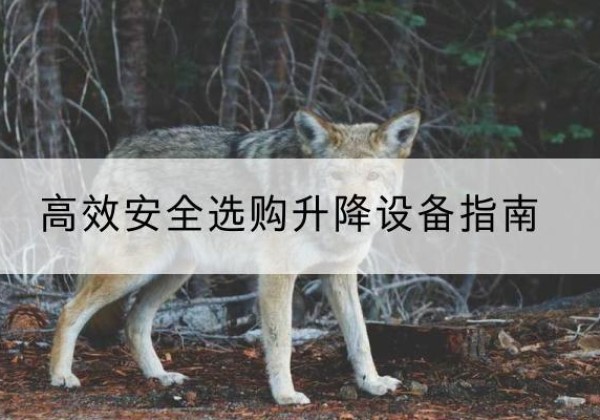 三亚升降货梯厂家推荐-*安全选购升降设备指南