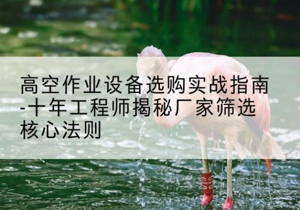 三亚剪叉式升降机厂家-高空作业设备选购实战指南-十年工程师揭秘厂家筛选核心法则